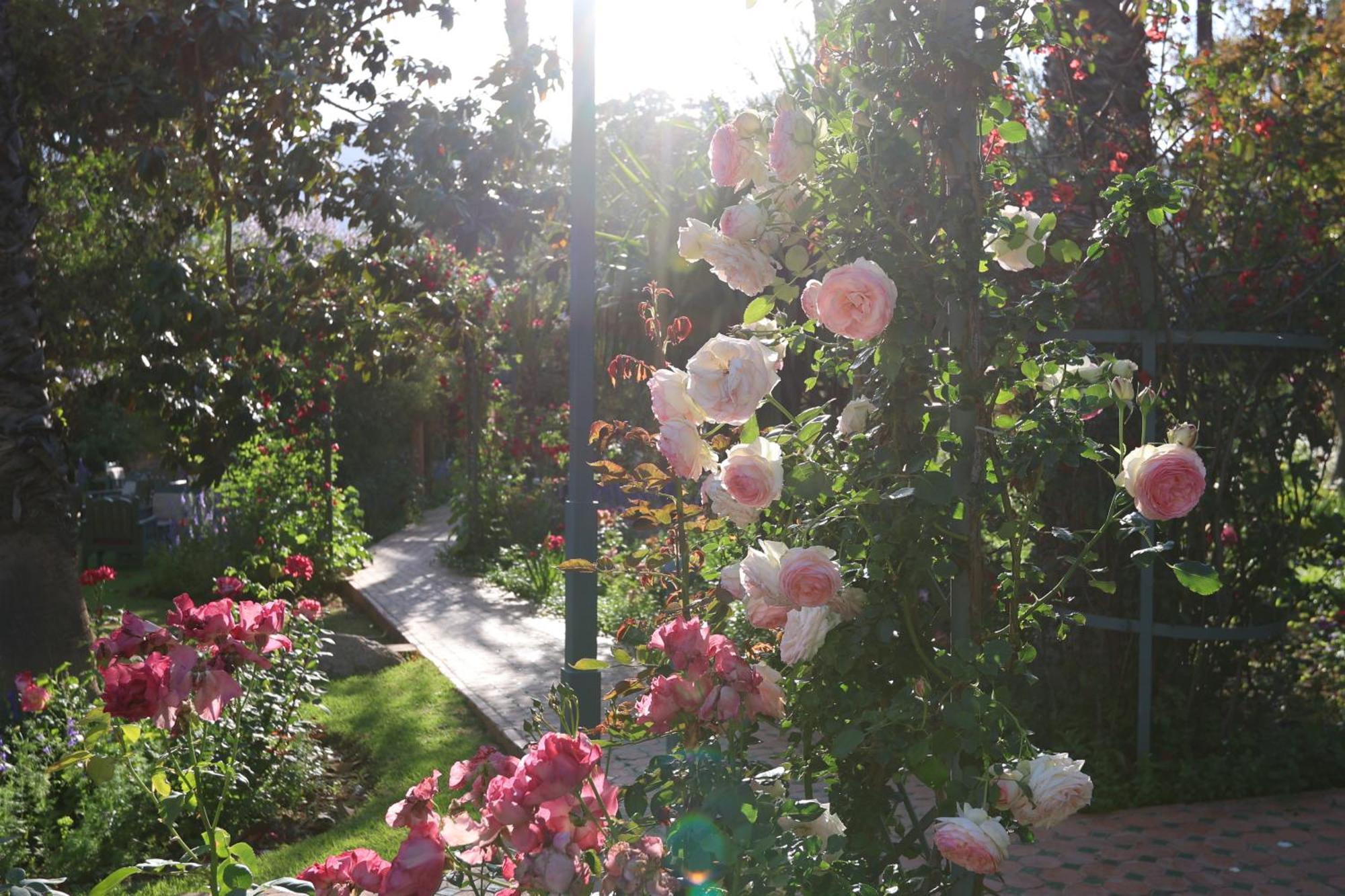 Domaine De La Roseraie Resort Ouirgane Exterior foto